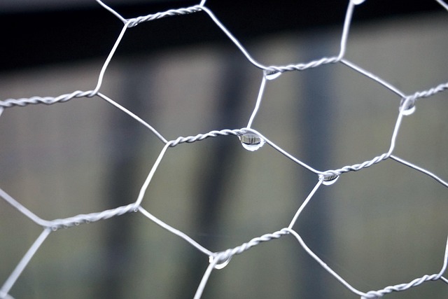 Pletivo máme podle standardu. 